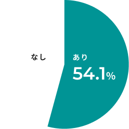 円グラフ:あり54.1%